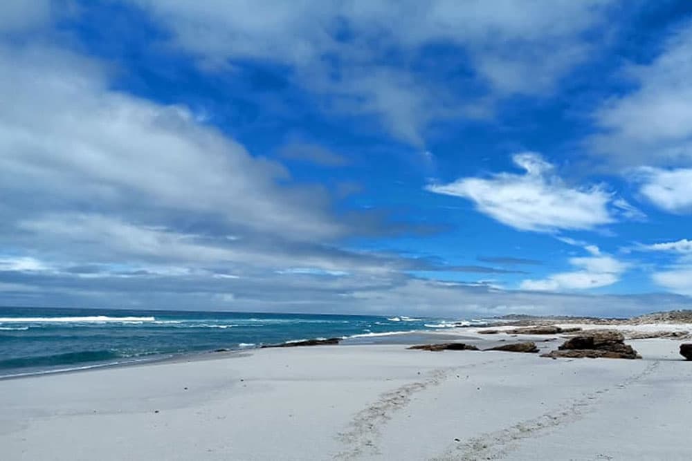 PEDDIE SE BAAI